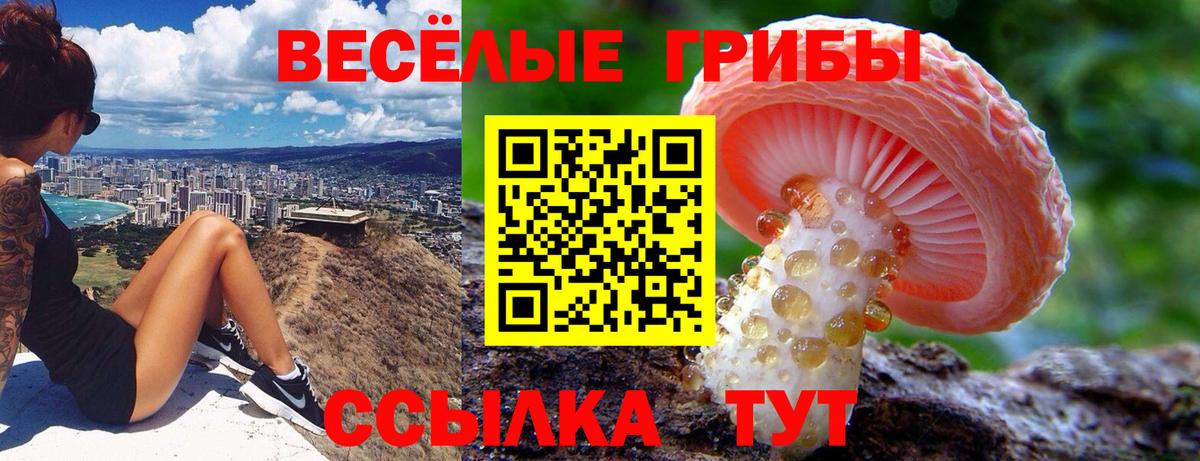 Псилоцибиновые грибы Cubensis Асбест
